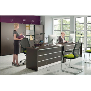 Lada recepcyjna Btx5