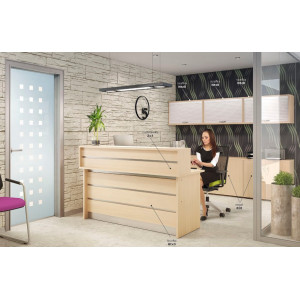 Nadstawka recepcyjna Zx3