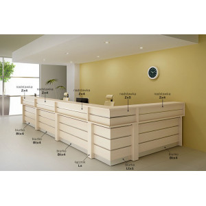 Nadstawka recepcyjna Zx5