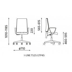 Krzesło I-LINE TS25 GTP 45 Krzesło I-LINE TS25 GTP 45